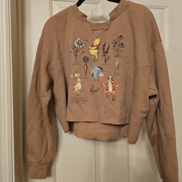 Disney Winnie the Pooh Brown Sweatshirt - Picture 1 of 6